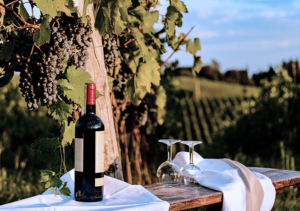 Turismo enogastronomico: Italia ai primi posti